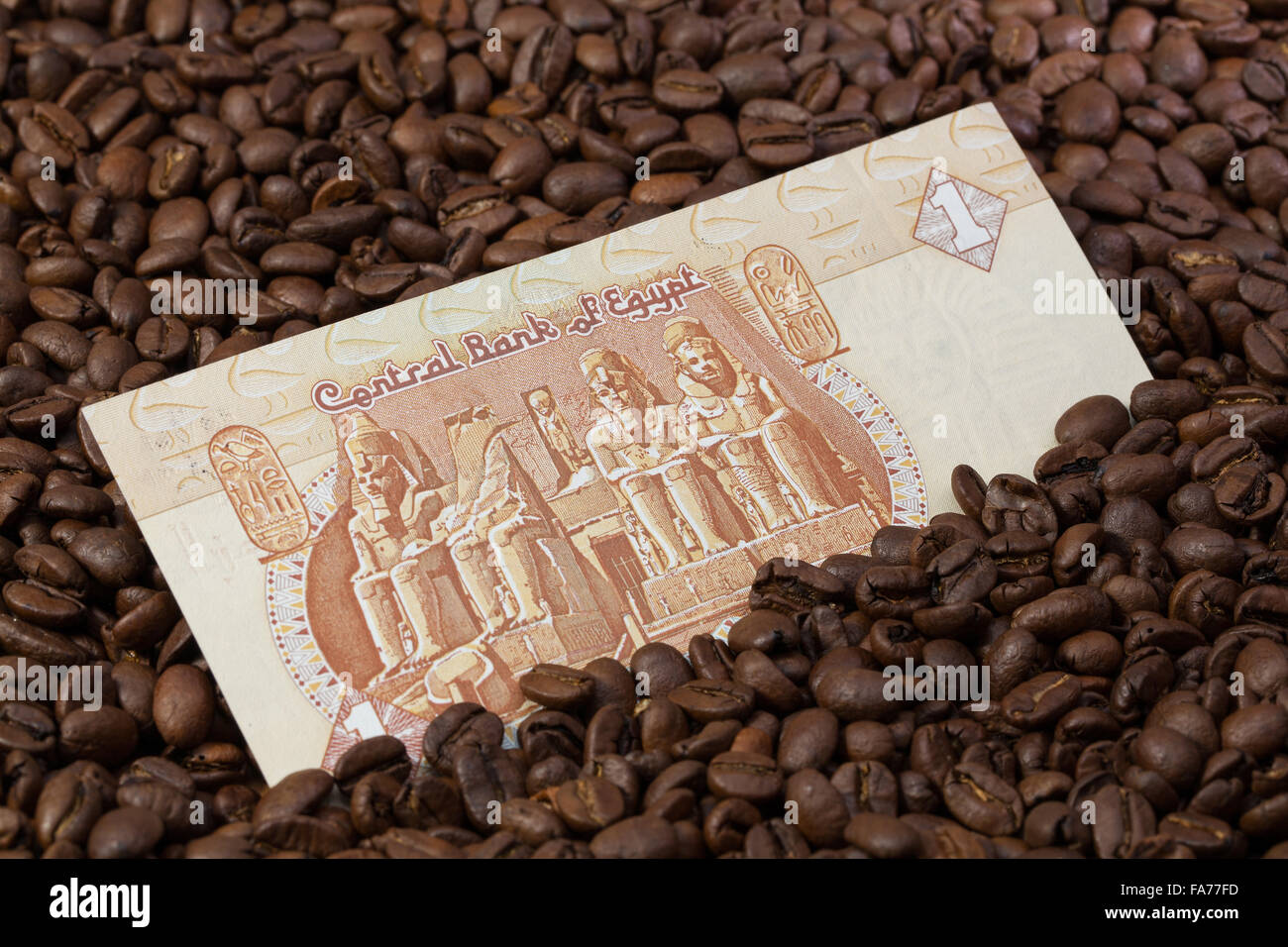 Coffee beans and Egyptian pound banknote Stock Photo Alamy