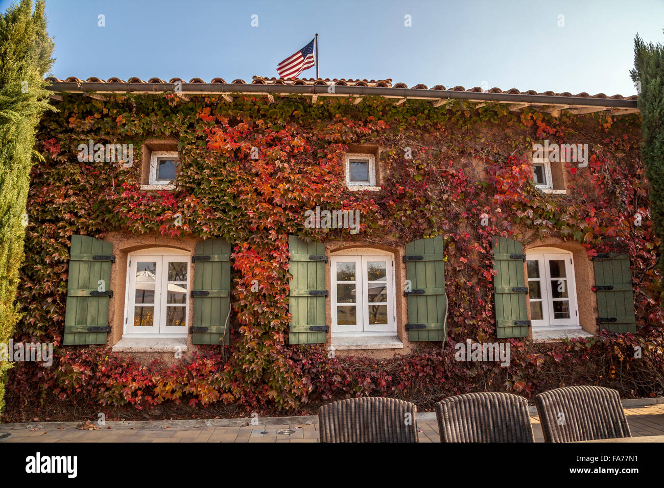 Wine tasting room covered in climbing ivy, Sonoma, California, USA Stock Photo