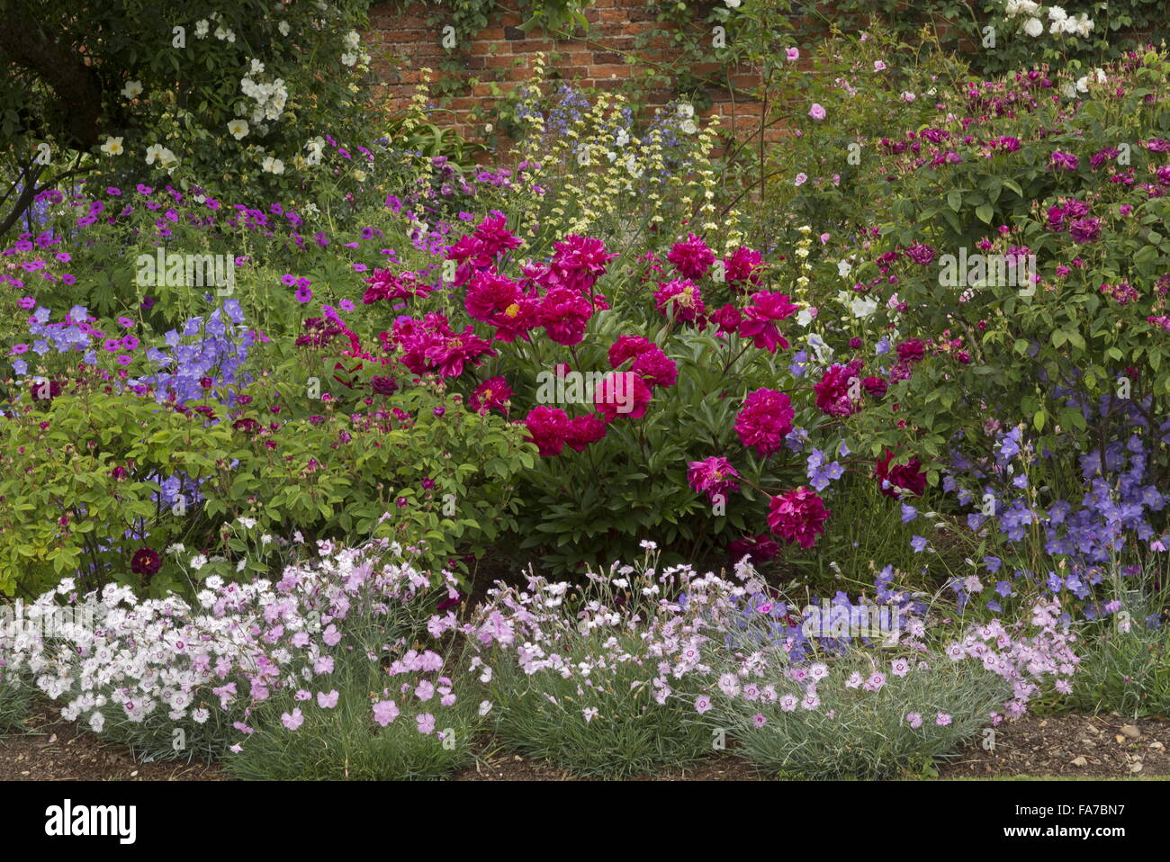 Rose Borders Stock Photos Rose Borders Stock Images Alamy