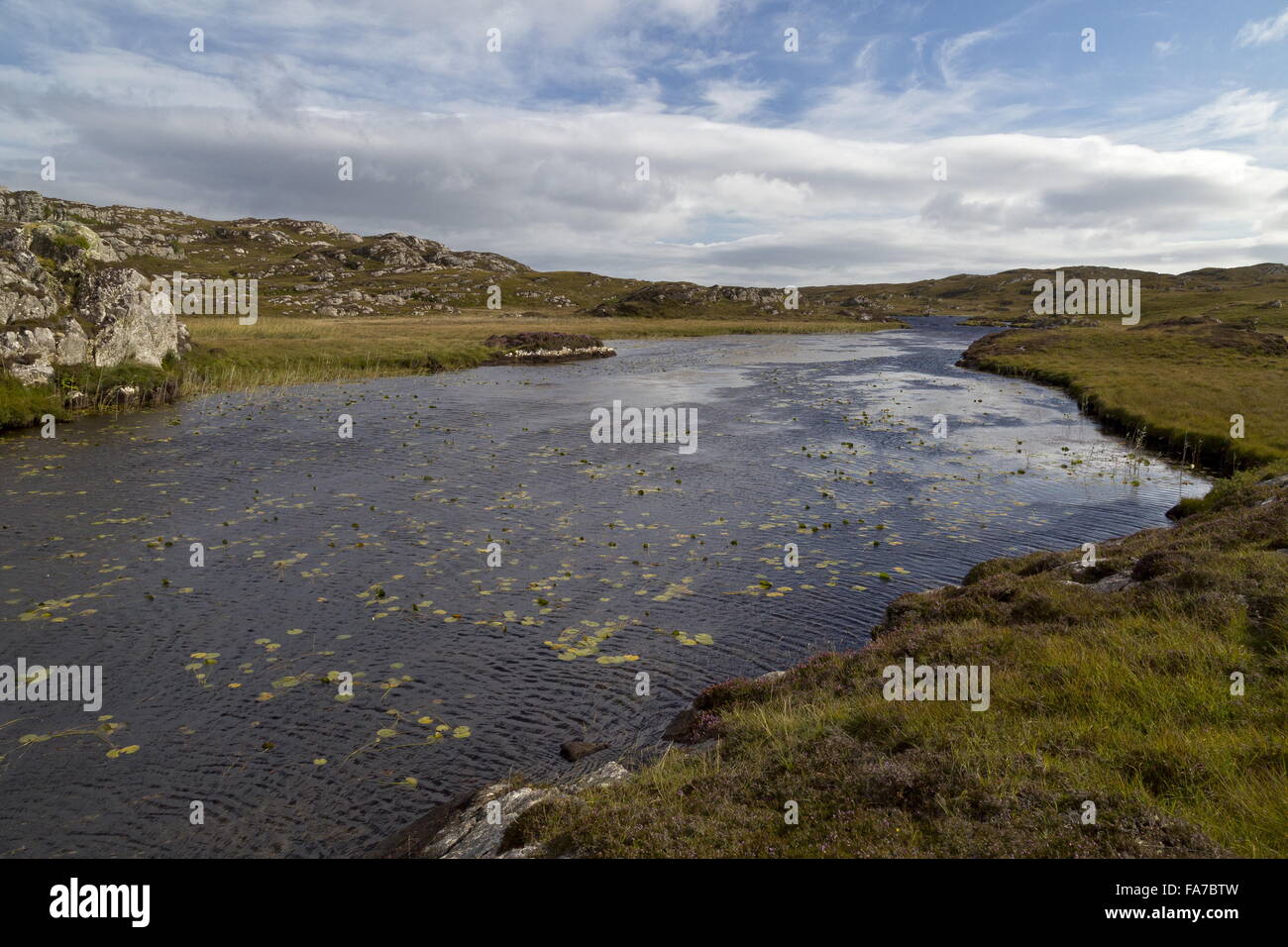 A remote clean unpolluted well-vegetated acidic loch, Loch a Mhill Aird, the island of Coll, Inner Hebrides, Scotland. Stock Photo