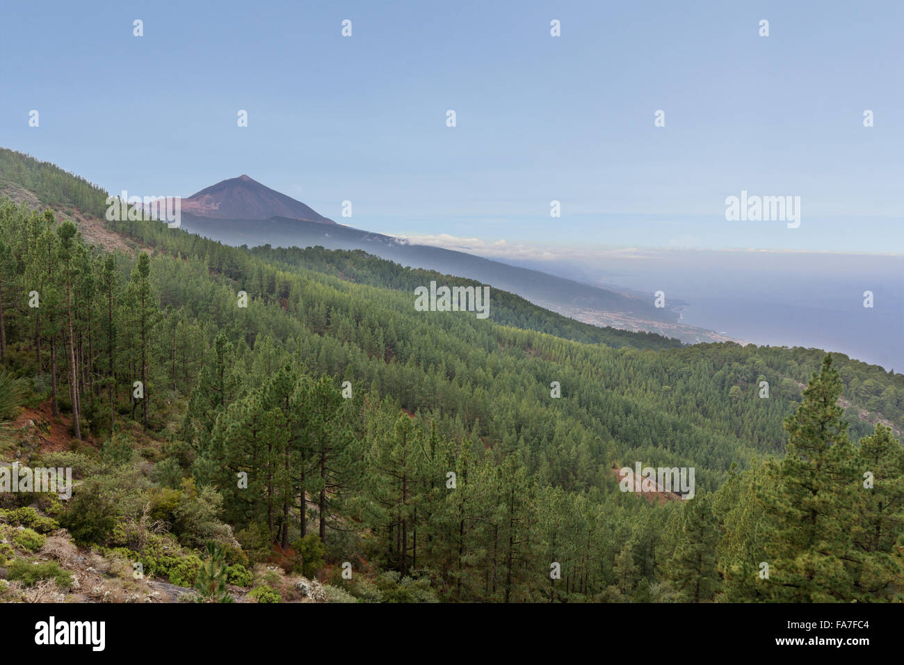 nature landscape, mountain summit view , forest valley and clear blue sky - pico de teide, tenerife, spain Stock Photo