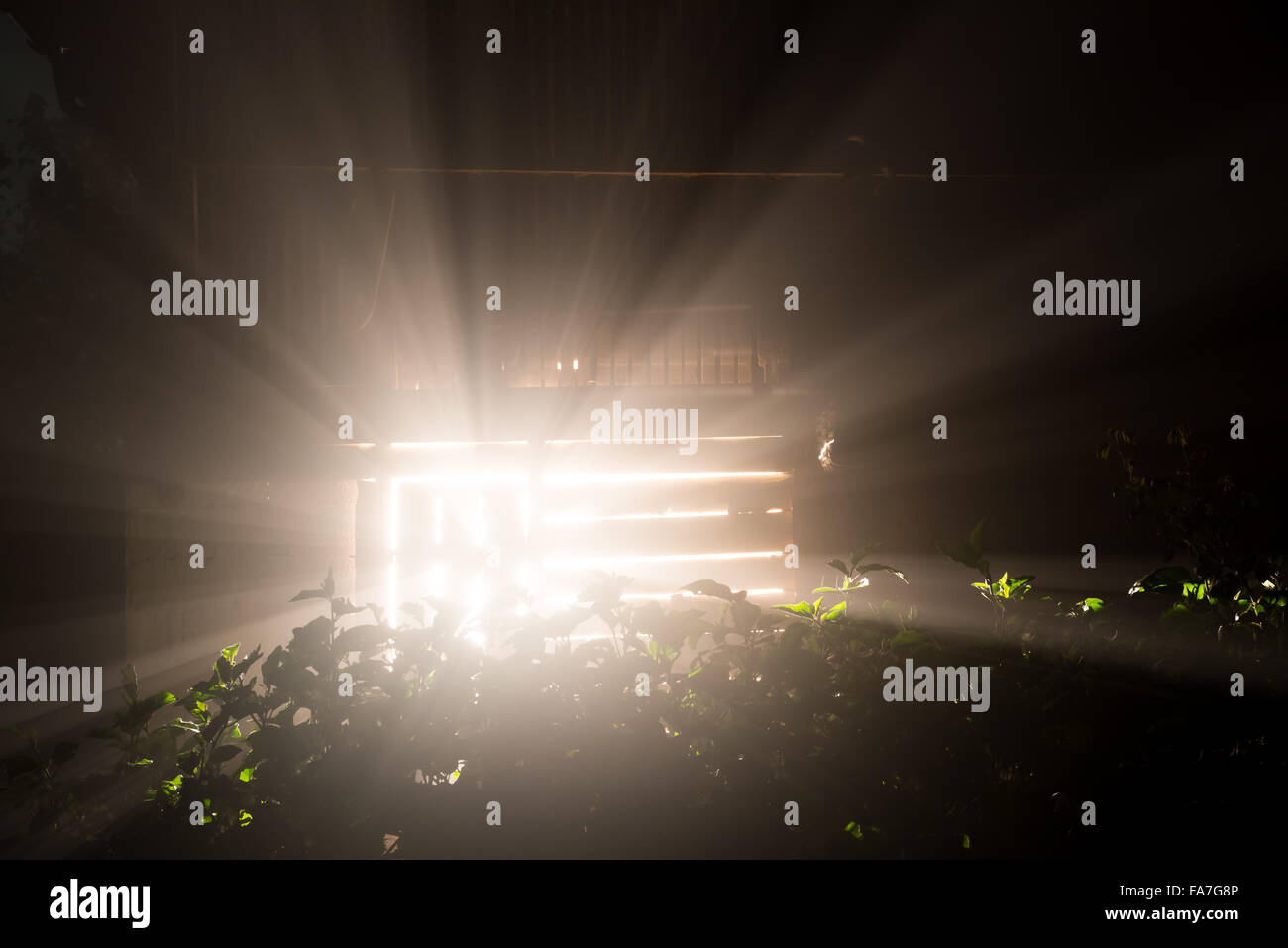Shine a light into fog hi-res stock photography and images - Alamy