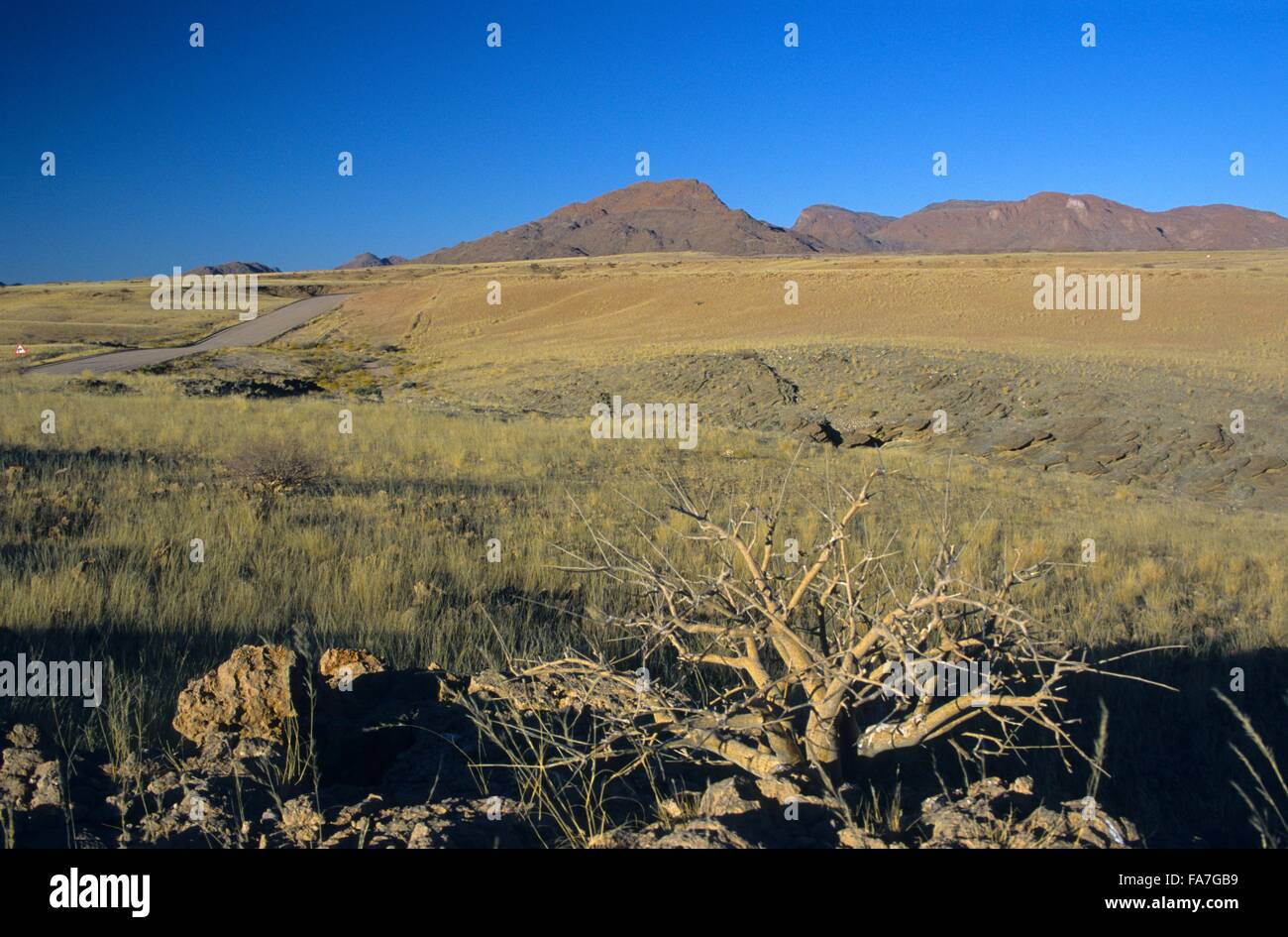 Est to east hi-res stock photography and images - Alamy
