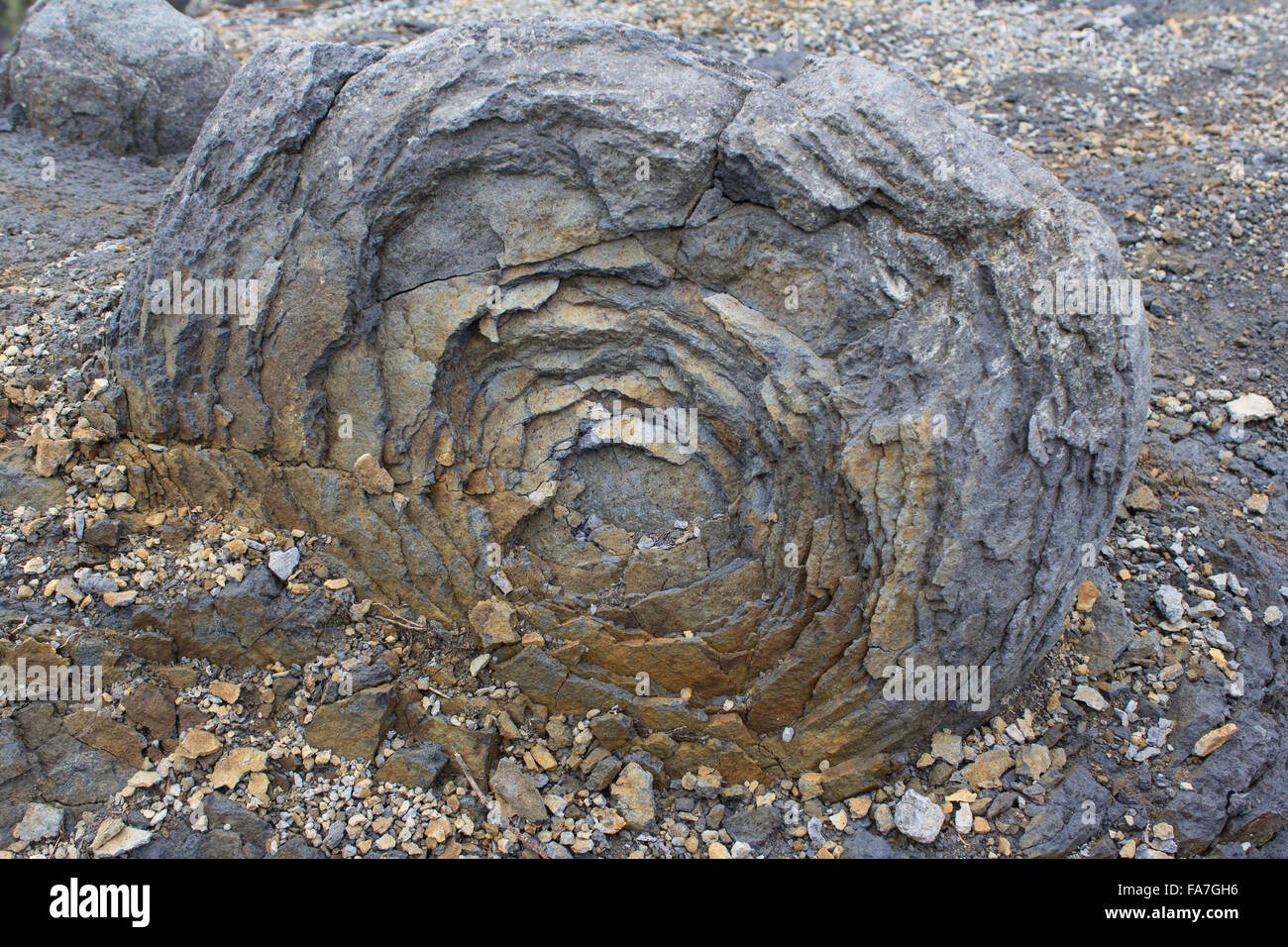 onion skin weathering / weathered stone / rock bubble Stock Photo Alamy
