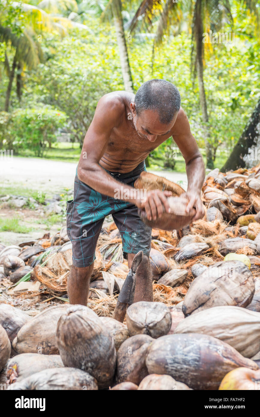 Man peeling coconuts Stock Photo Alamy