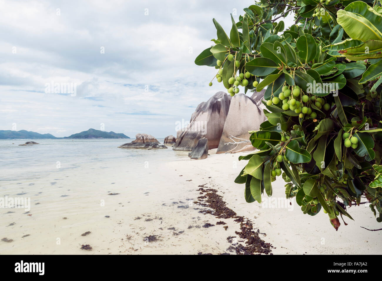 Beach and granite rocks Stock Photo Alamy