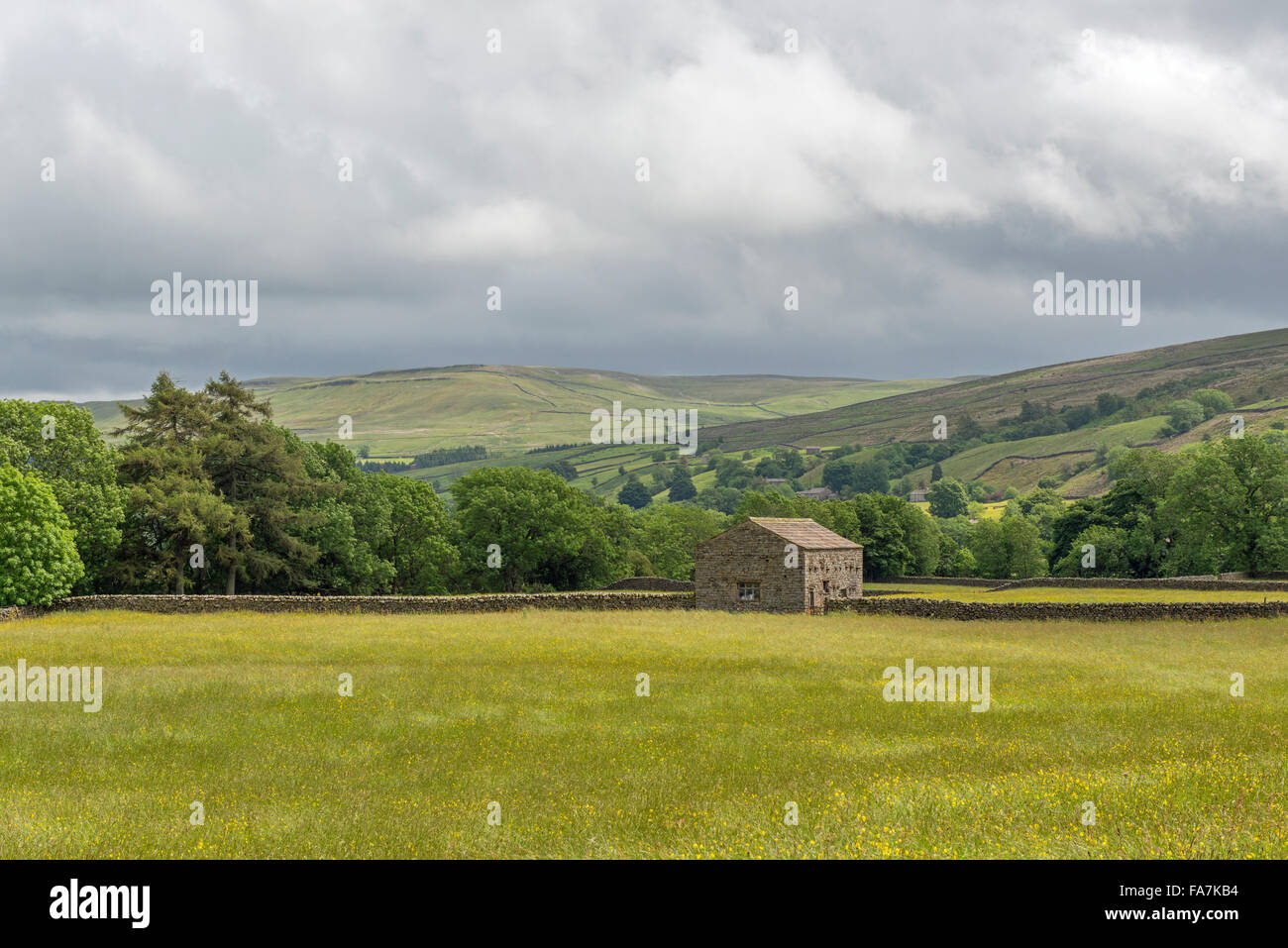 Swaledale and Barn at Muker Yorkshire Dales in the summer with the flower meadows. Stock Photo