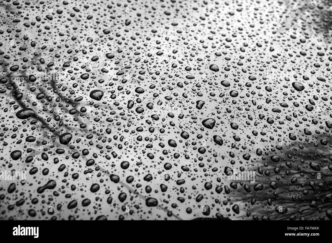 Black shining metallic car hood with raindrops, closeup photo with