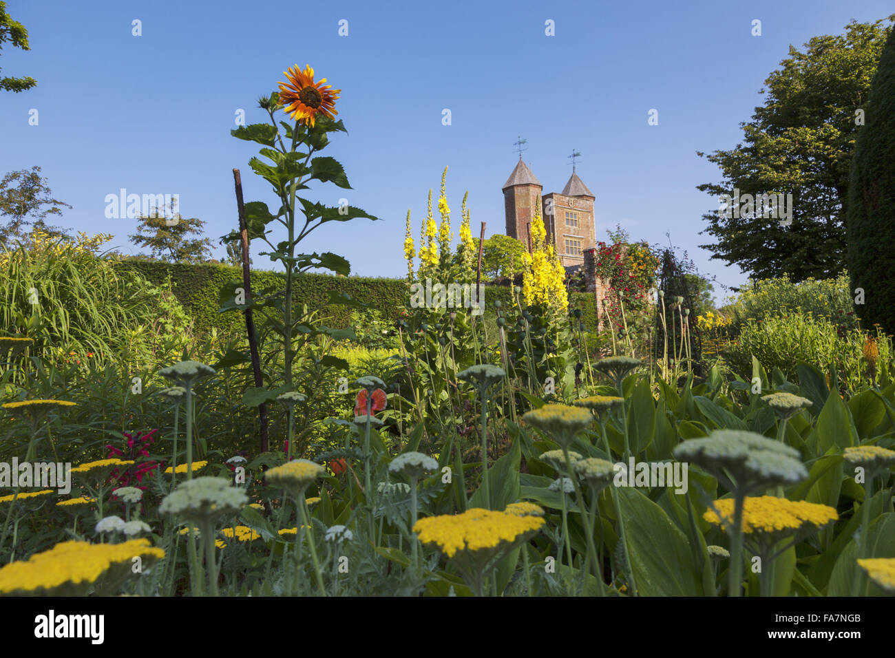 The Tower seen from the gardens in July at Sissinghurst Castle, Kent. Sissinghurst gained international fame in the 1930s when Vita Sackville-West and Harold Nicolson created a garden there. Stock Photo