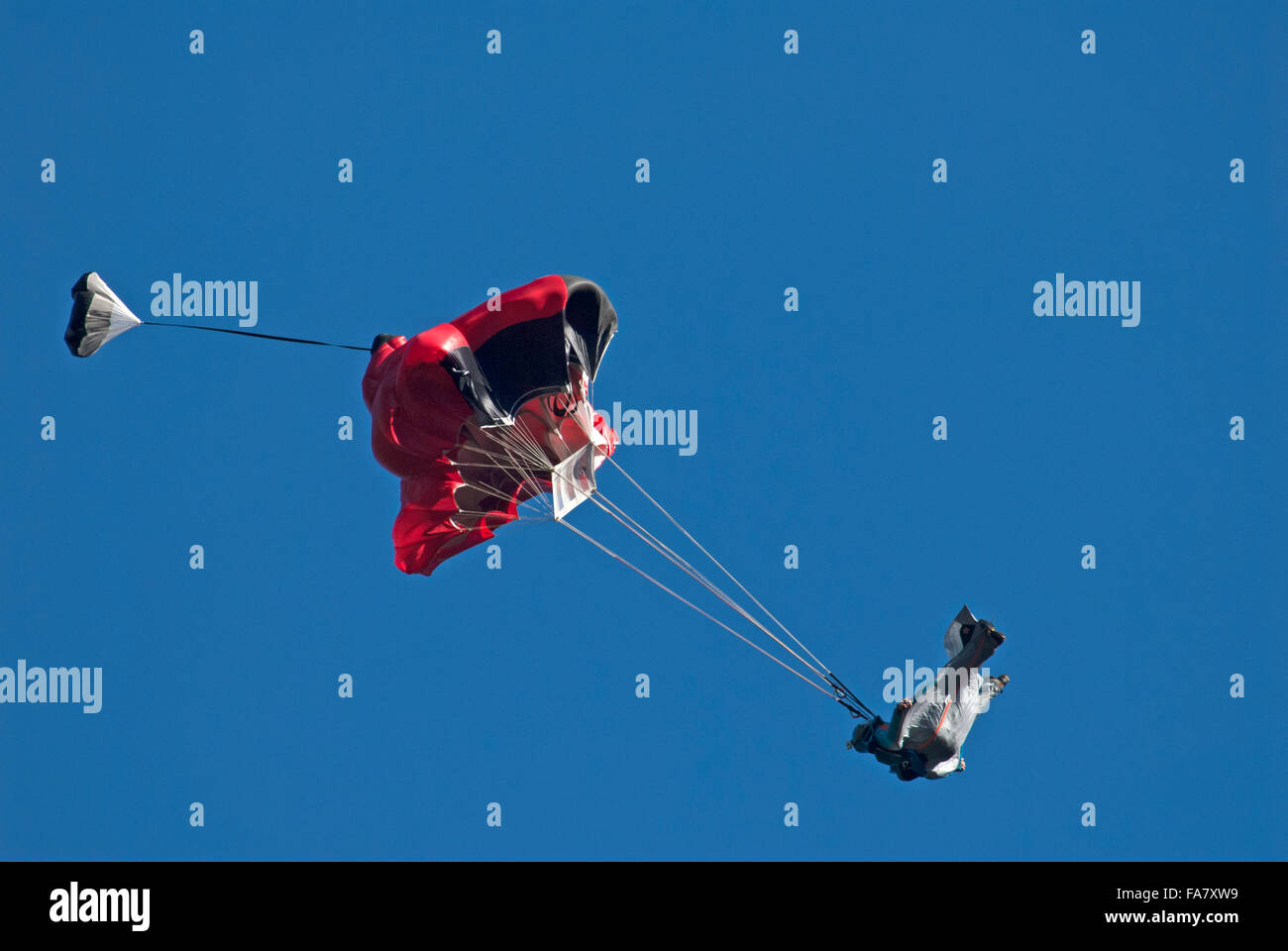 Wing suit flyer rapidly decreasing speed a second after his chute opens Stock Photo