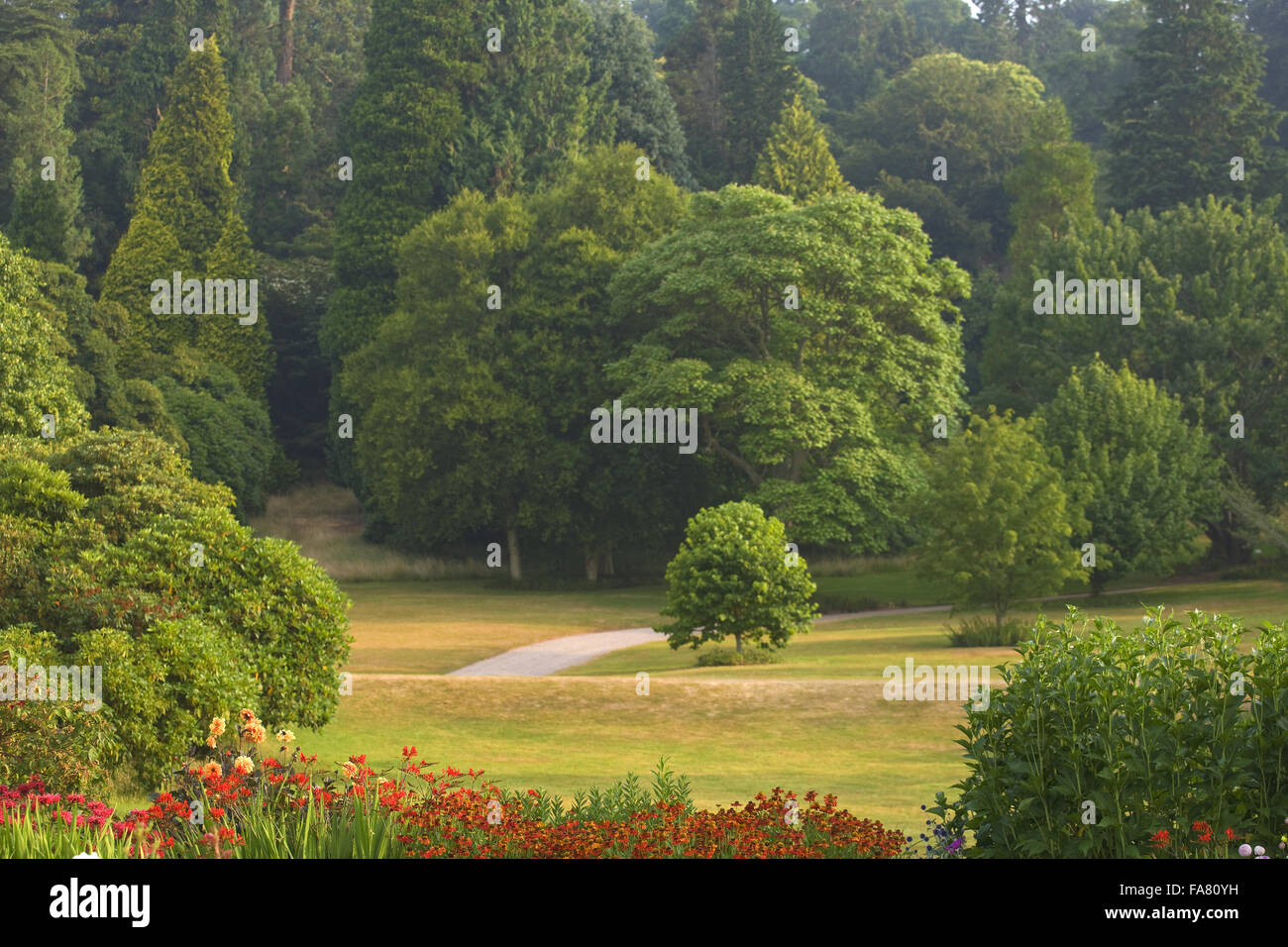 View across lawn towards parkland from a herbaceous garden at Killerton, Devon, showing crocosmia, helenium and monarda in July. The garden, created by John Veitch, is Killerton's highlight. Stock Photo