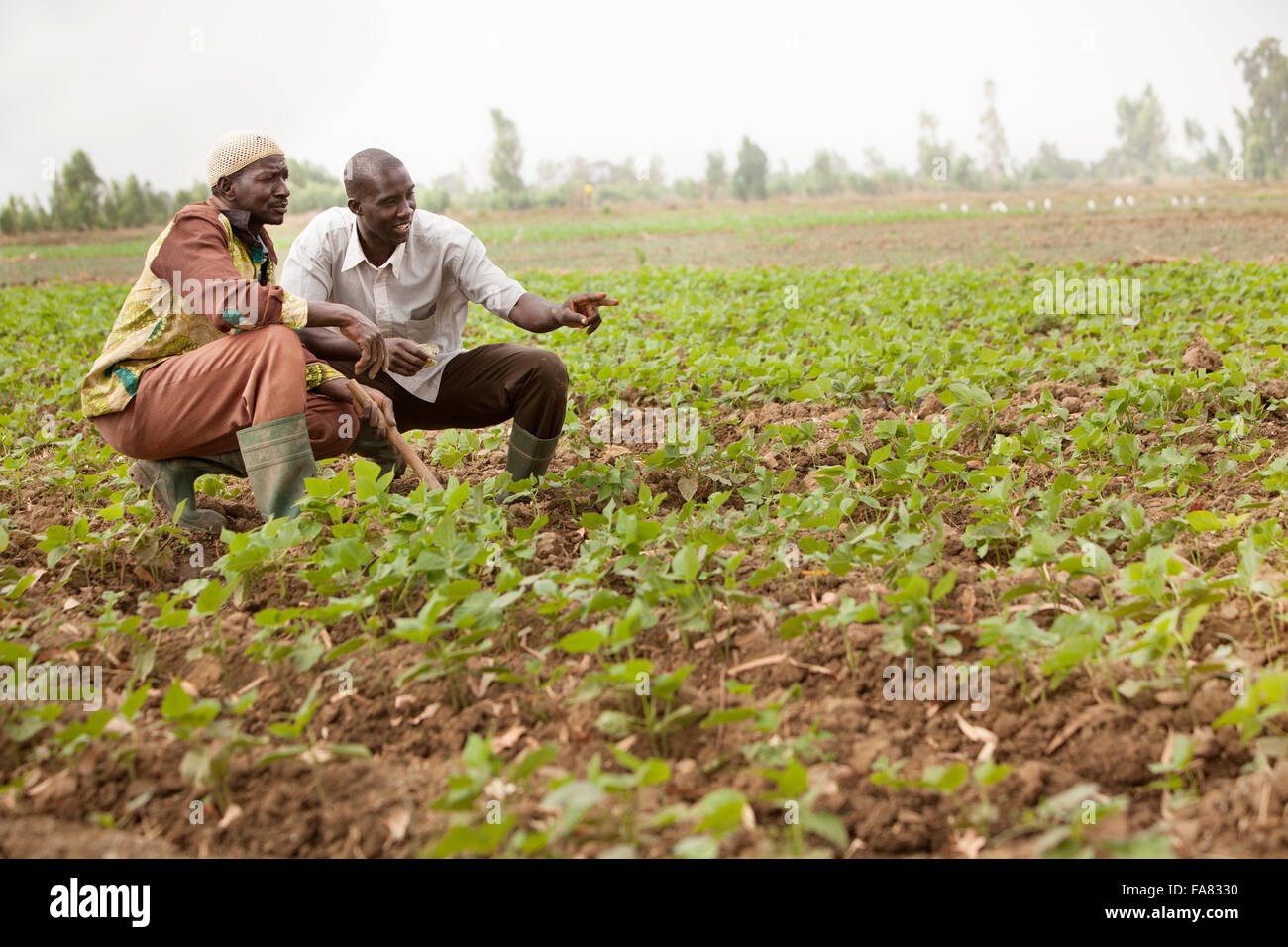 Farming techniques hires stock photography and images Alamy