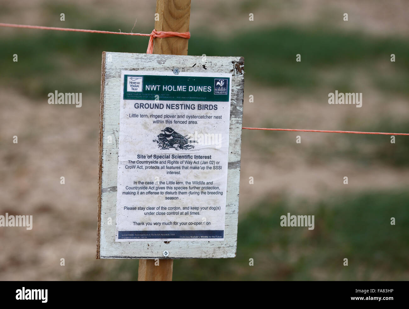 Warning sign at Holme Dunes Nature Reserve in Norfolk warning of the presence of ground nesting birds and to keep away. Stock Photo