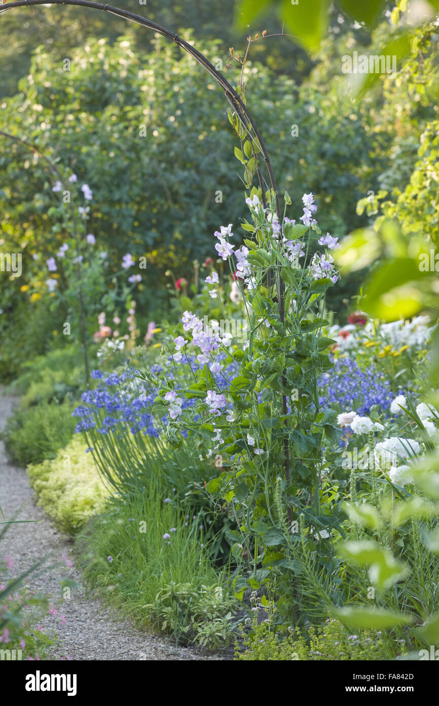 The Cut Flower Border at Peckover House and Garden, Wisbech, Cambridgeshire, in July. Stock Photo