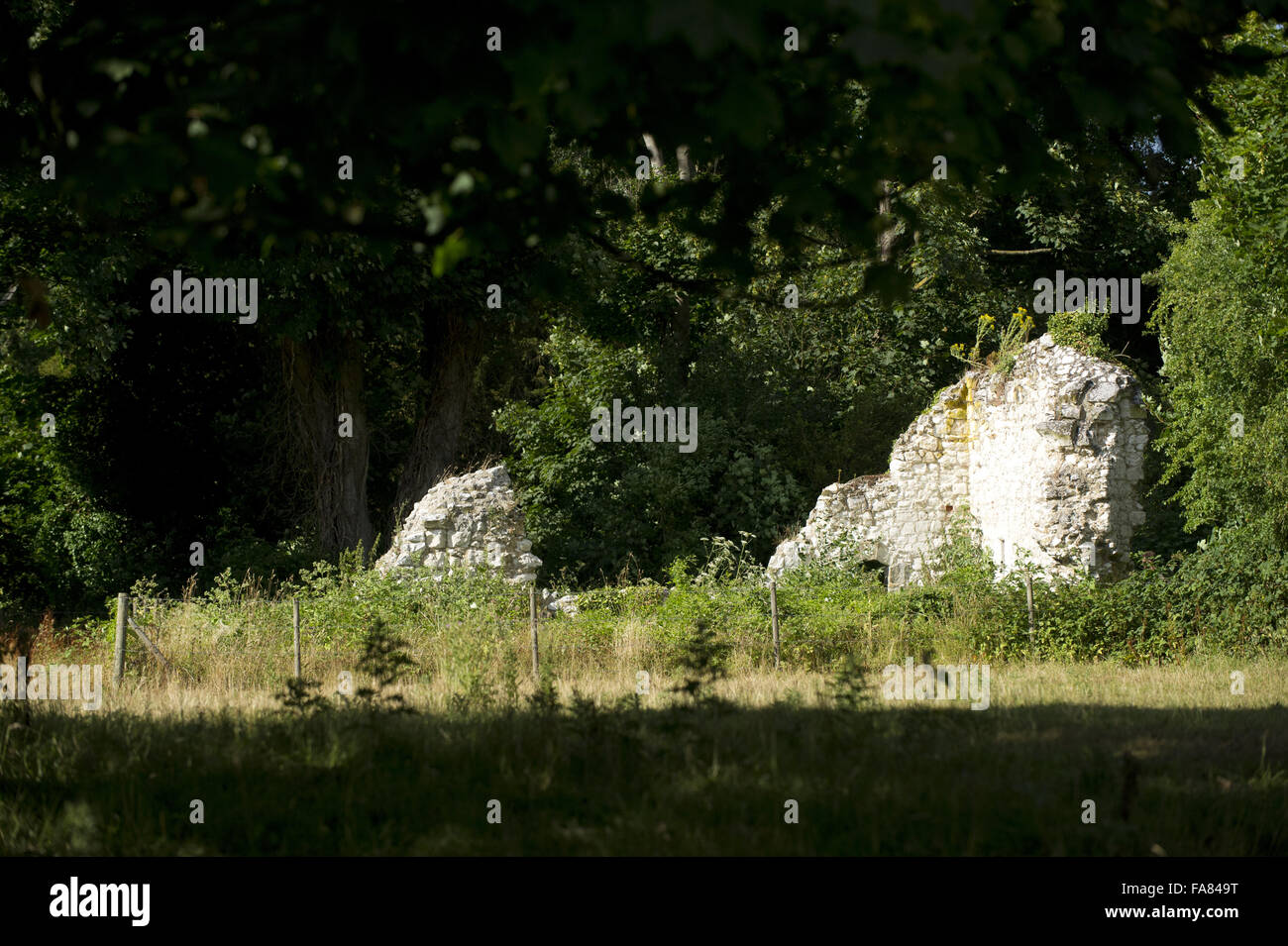 View of ruins at Runnymede, Surrey. Stock Photo