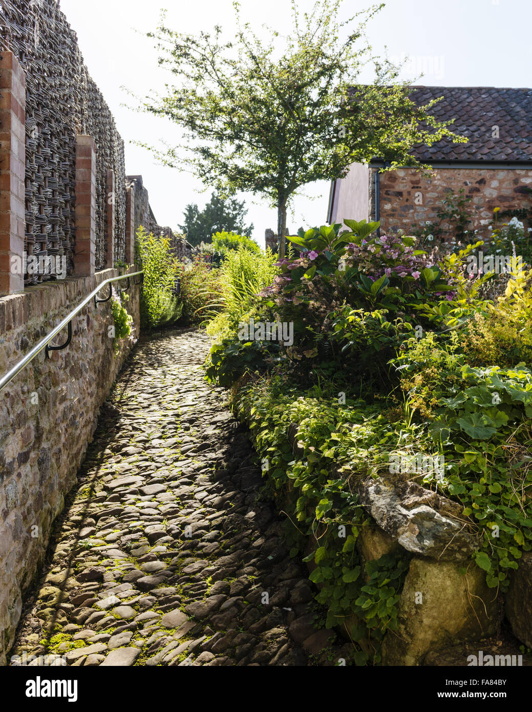 The cobbled path leading from the cottage to the wild garden at Coleridge Cottage, Somerset. Coleridge Cottage was the home of Samuel Taylor Coleridge between 1797 and 1800. Stock Photo