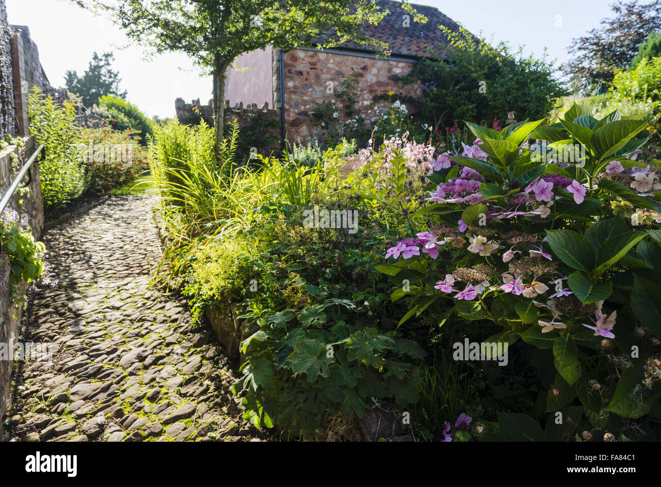 The cobbled path leading from the cottage to the wild garden at Coleridge Cottage, Somerset. Coleridge Cottage was the home of Samuel Taylor Coleridge between 1797 and 1800. Stock Photo