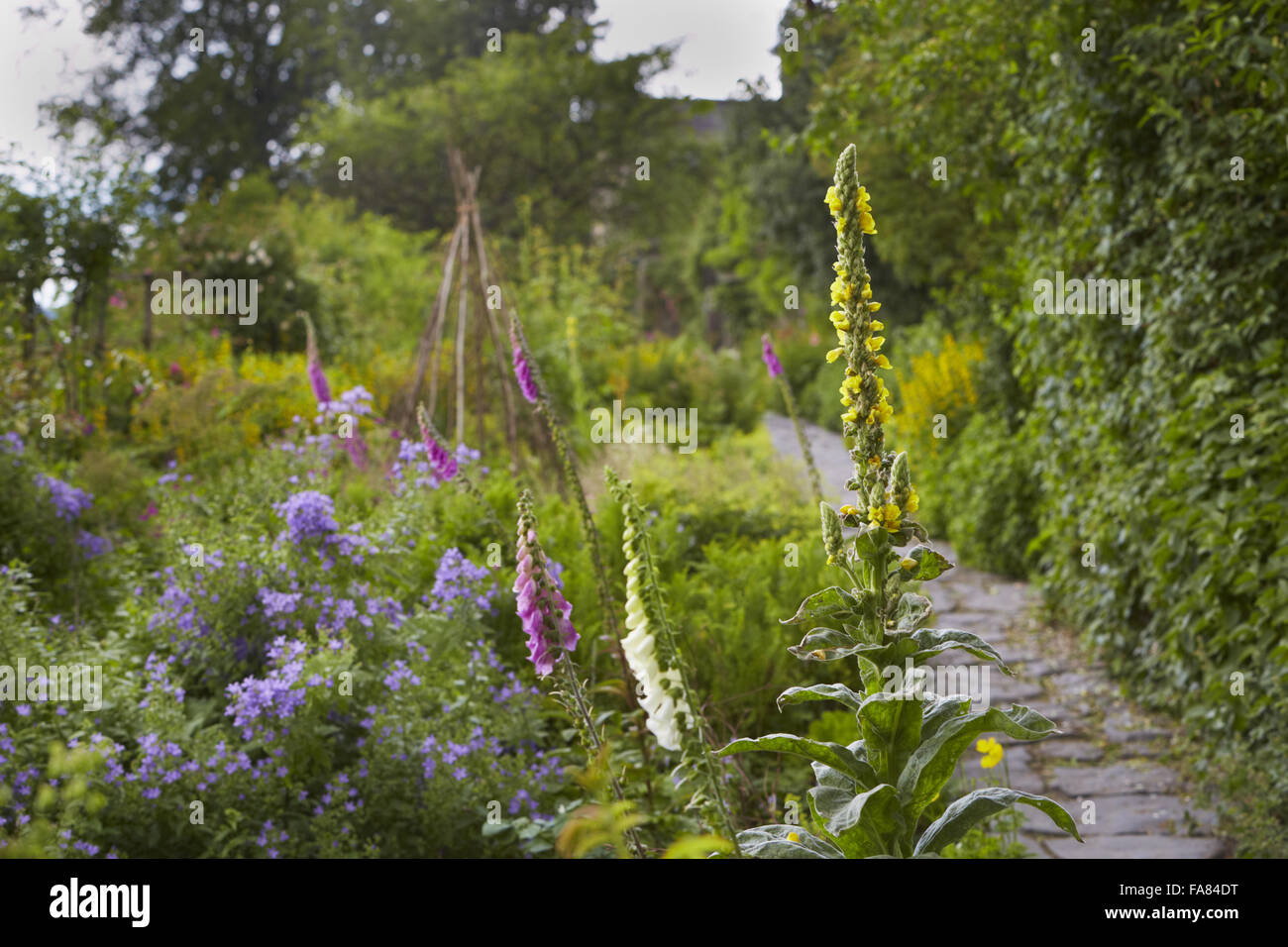 The garden in July at Hill Top, near Sawrey, Cumbria. The house was owned by Beatrix Potter from 1905 until her death in 1943. Stock Photo