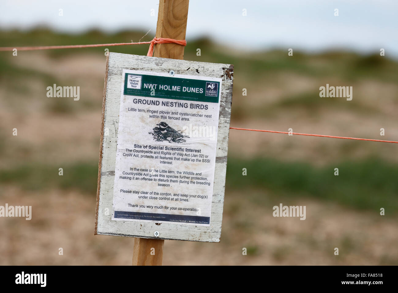 Warning sign at Holme Dunes Nature Reserve in Norfolk warning of the presence of ground nesting birds and to keep away. Stock Photo