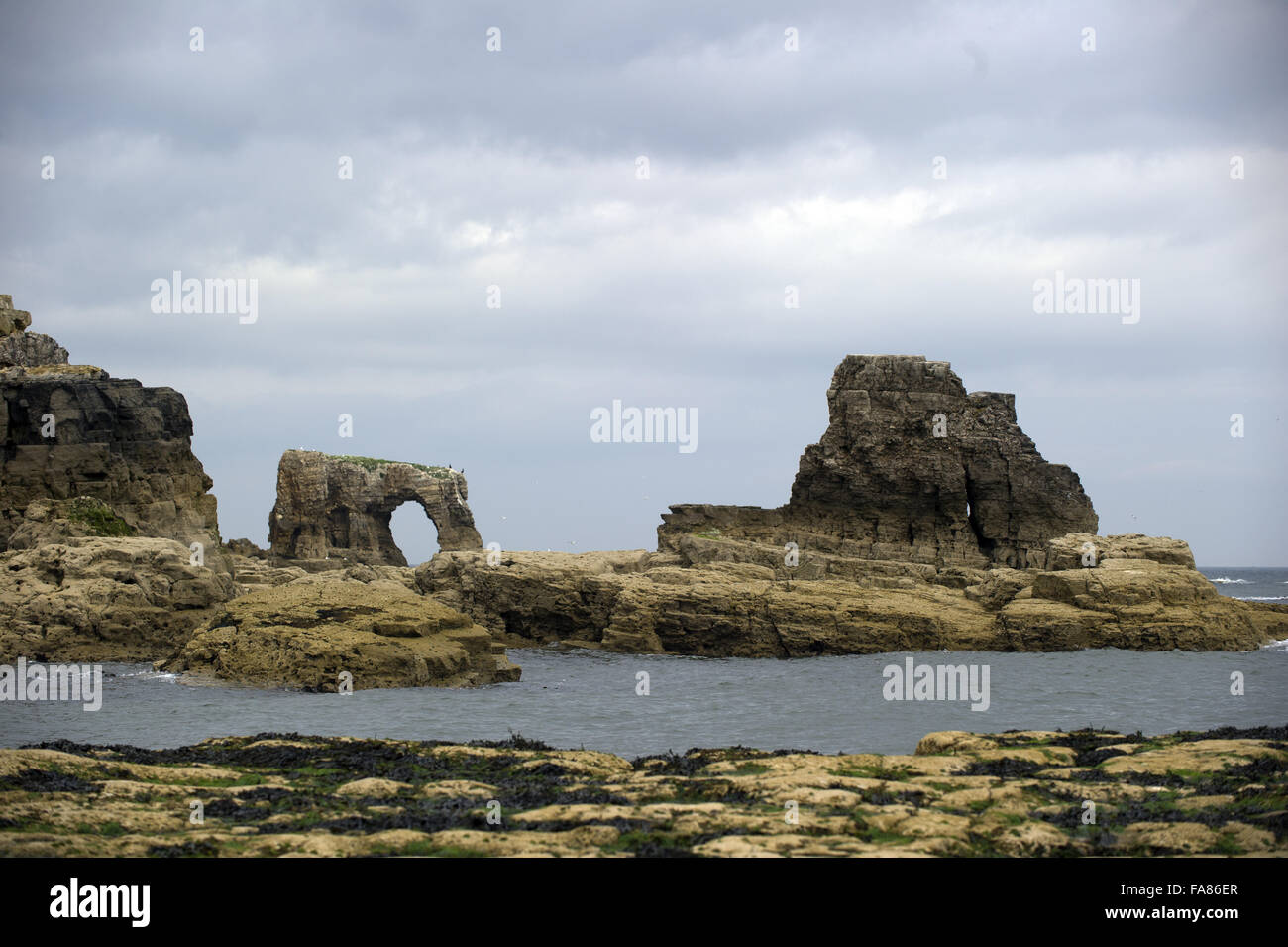 Rock stack and arch at The Leas, Tyne & Wear Stock Photo - Alamy