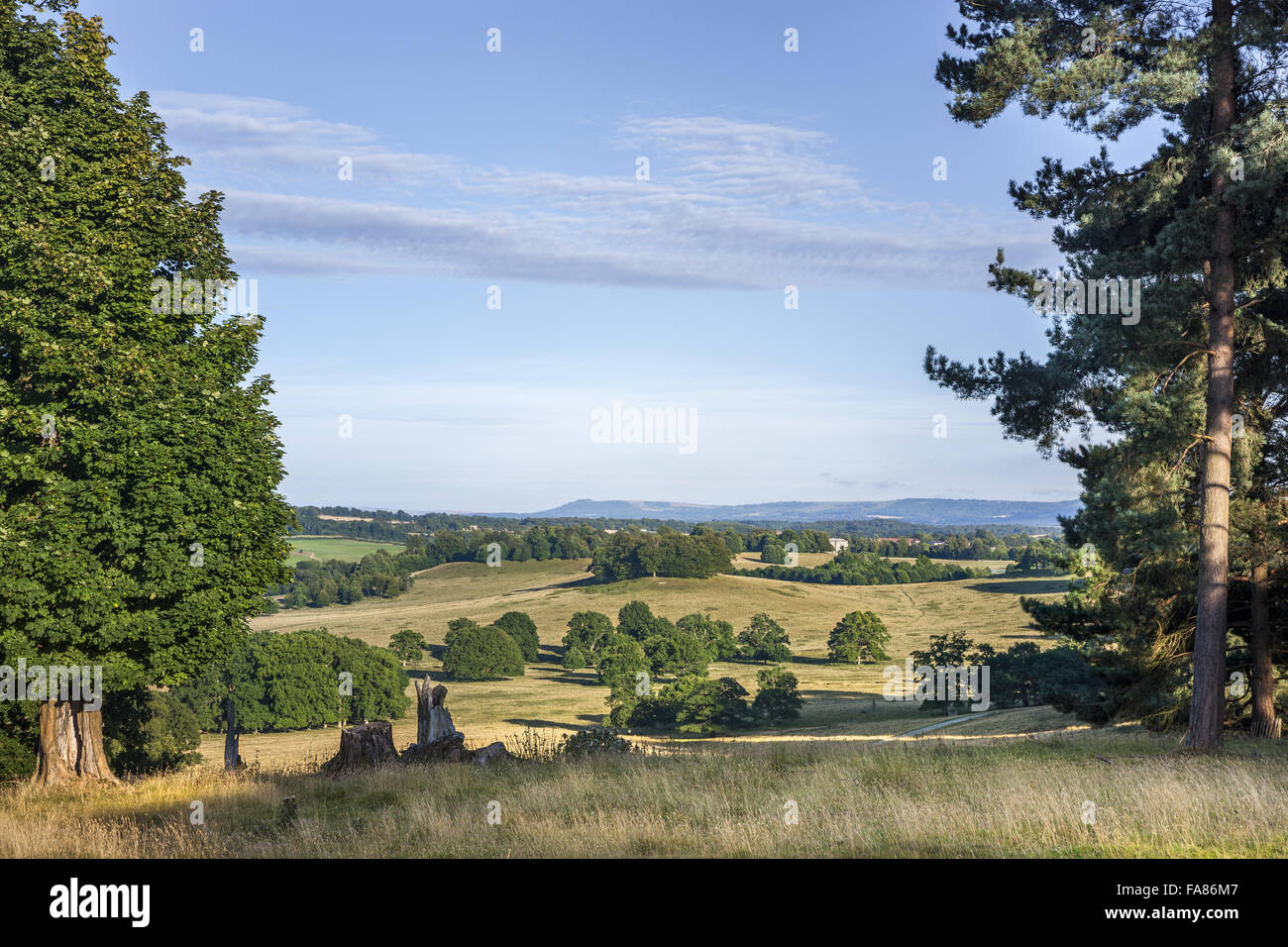 The view from the Concave looking south east, towards the house, at Petworth House and Park, West Sussex. The deer park at Petworth was landscaped by 'Capability' Brown. Stock Photo