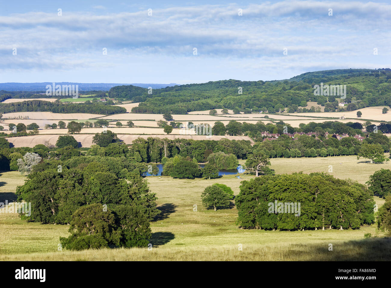 The view from the Concave to the lower pond at Petworth House and Park, West Sussex. The deer park at Petworth was landscaped by 'Capability' Brown. Stock Photo