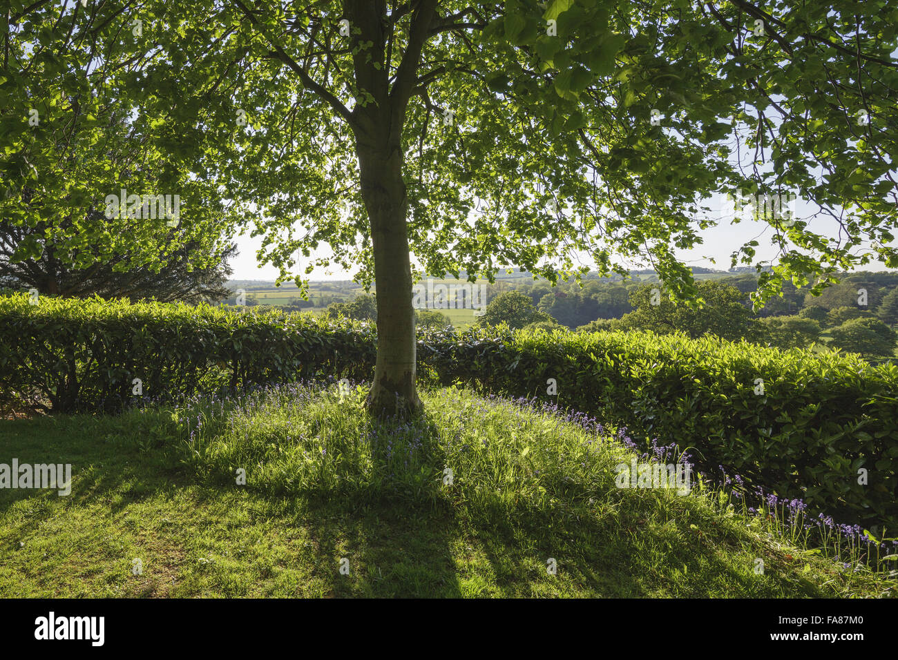 The gardens at Farnborough Hall, Warwickshire. Farnborough Hall is an