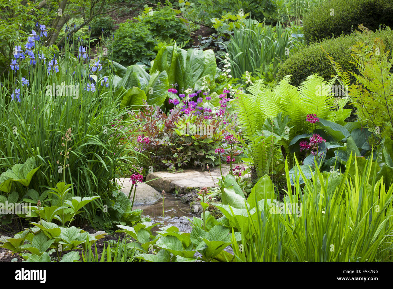 Iris beds hi-res stock photography and images - Alamy