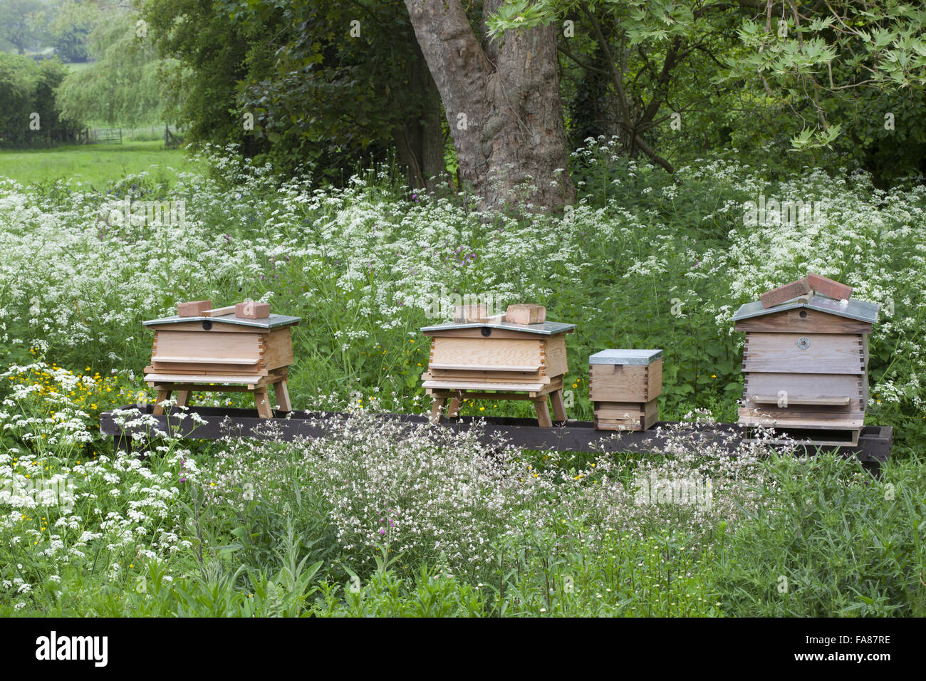 English gardens bee hives hi-res stock photography and images - Alamy
