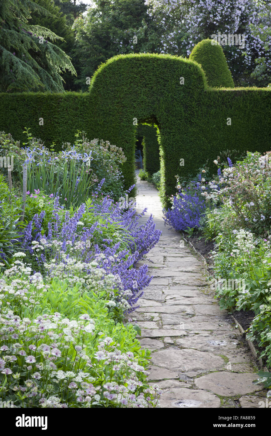 Nepeta, astrantia and iris in The Old Garden at Hidcote, Gloucestershire, in June. View through yew hedge arches to blue seat. Stock Photo