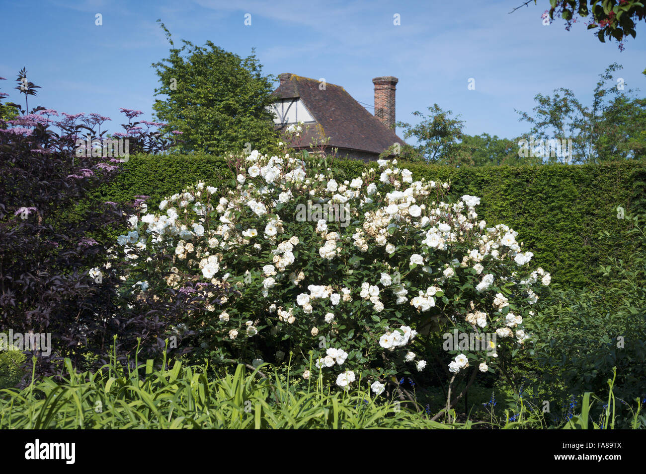 The gardens in July at Sissinghurst Castle, Kent. Sissinghurst gained international fame in the 1930s when Vita Sackville-West and Harold Nicolson created a garden there. Stock Photo