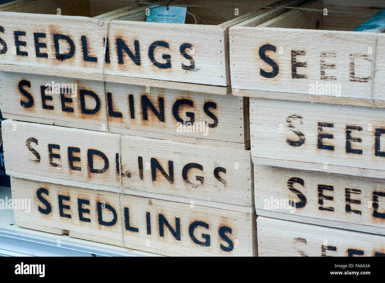 Wooden boxes with the word seedlings stenciled on them Stock Photo