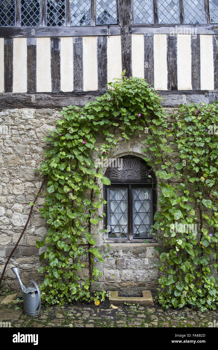Detail of the exterior of Ightham Mote, Kent. Ightham Mote is a medieval moated manor house near Sevenoaks. Stock Photo