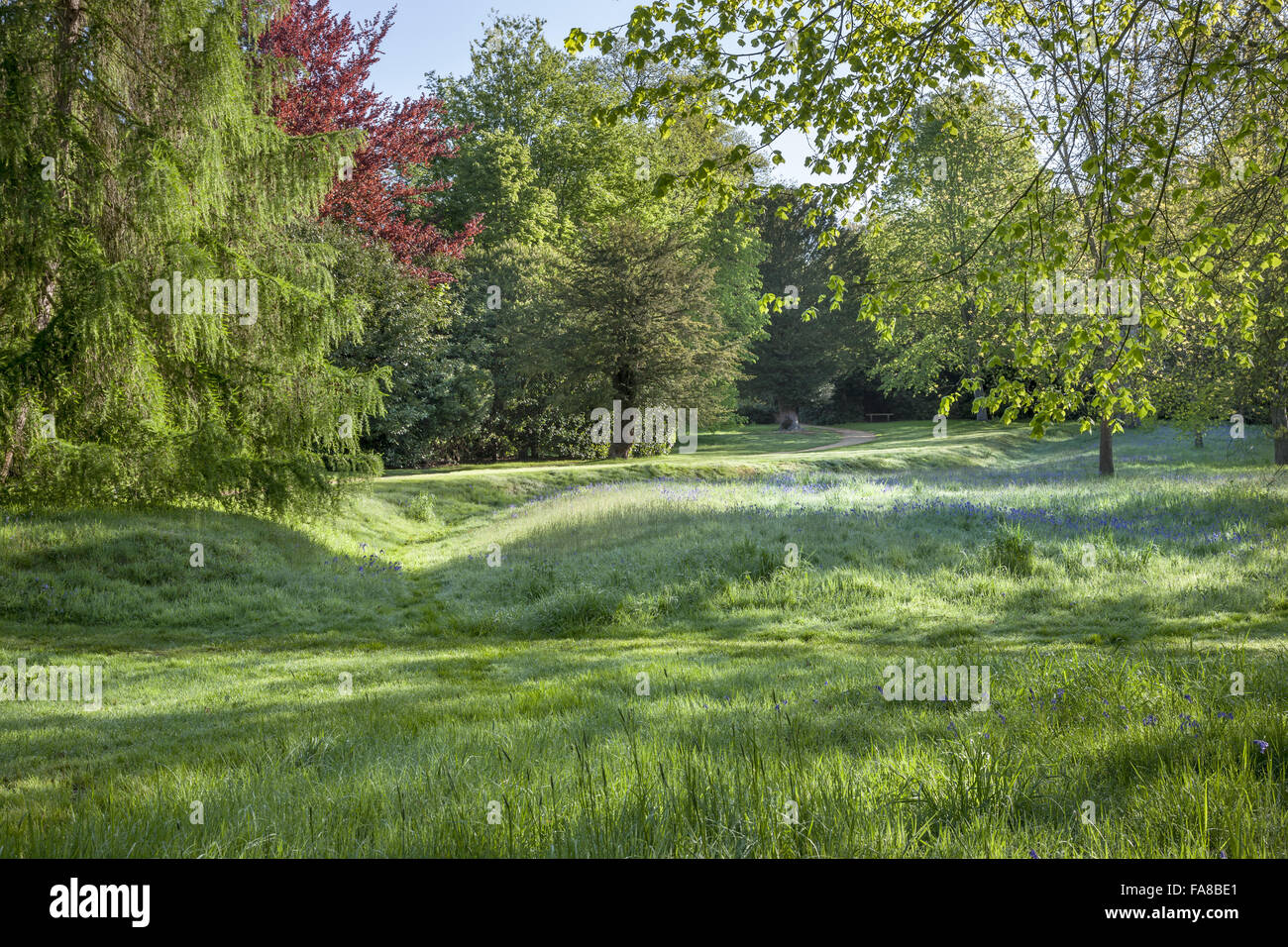 Woodland Walk at Claremont Landscape Garden, Surrey Stock Photo Alamy