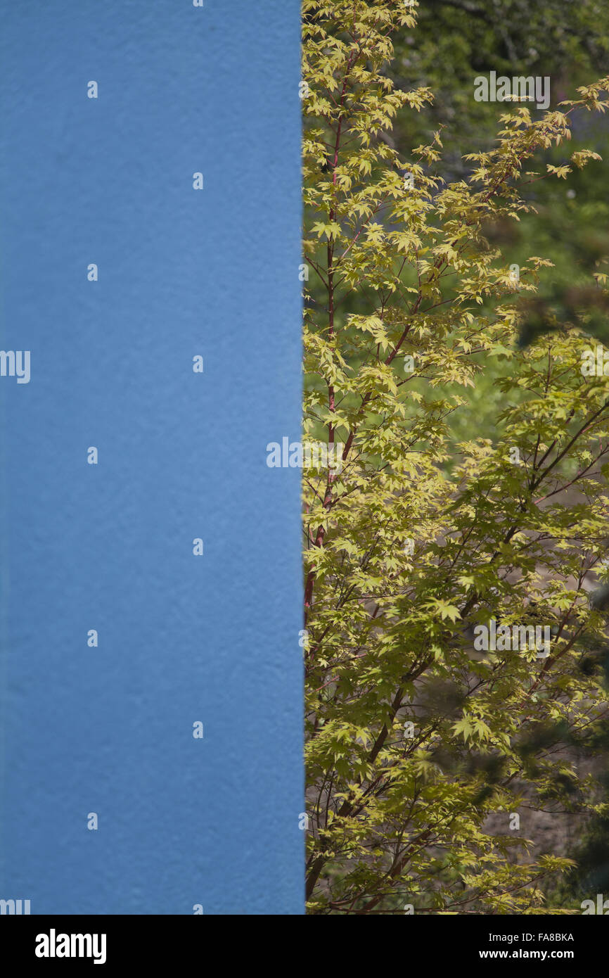 Trees seen beyond one of the exterior walls at High Cross House