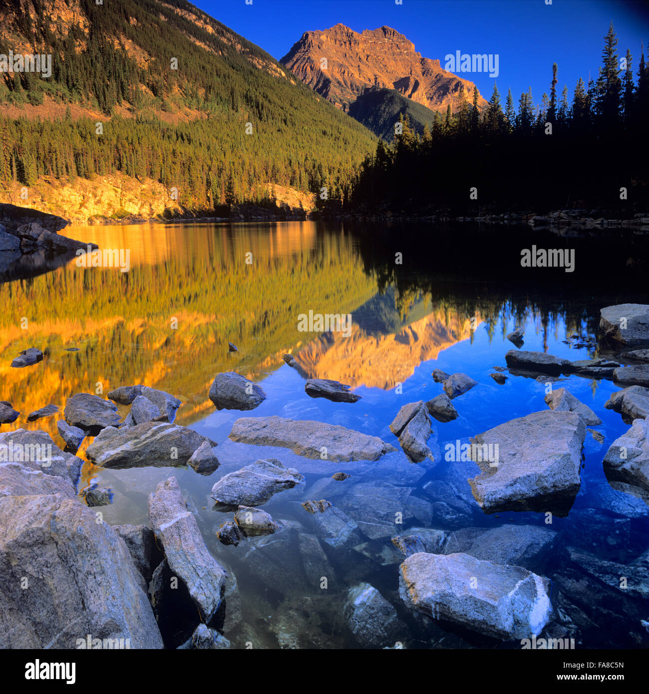 Horseshoe Lake at sunset in Jasper National Park Stock Photo Alamy