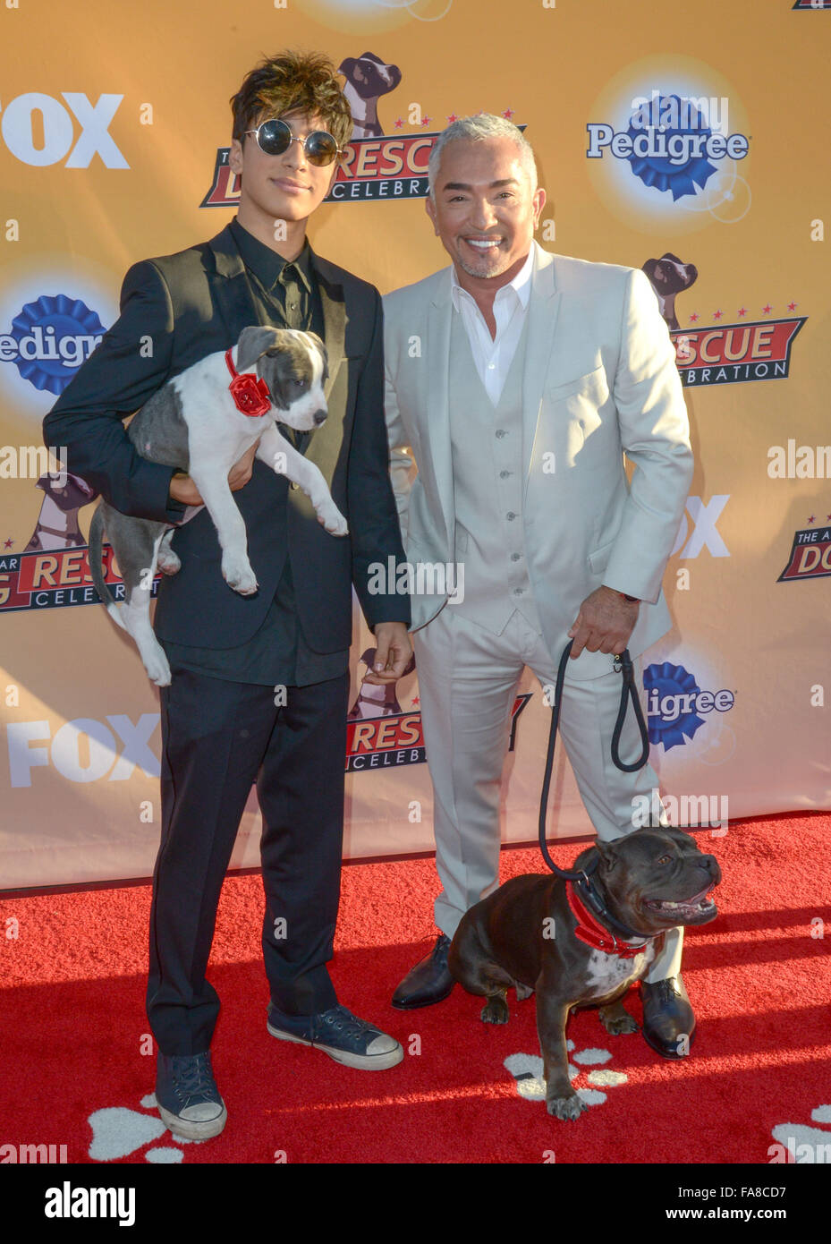 The All Star Dog Rescue Celebration held at Barker Hangar Arrivals