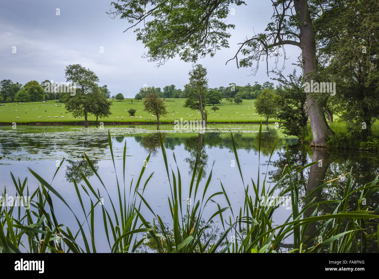 The Lake on the Wimpole Estate, Cambridgeshire Stock Photo Alamy