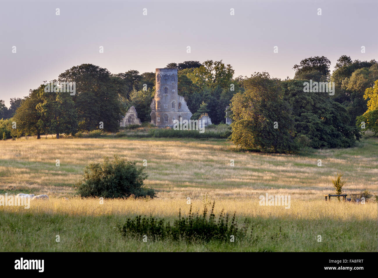 The Gothic Tower on Johnson's Hill on the Wimpole Estate, Cambridgeshire. The Tower was built in 1774 to the designs of James Essex, based on the original plans twenty five years earlier by Sanderson Miller. Stock Photo