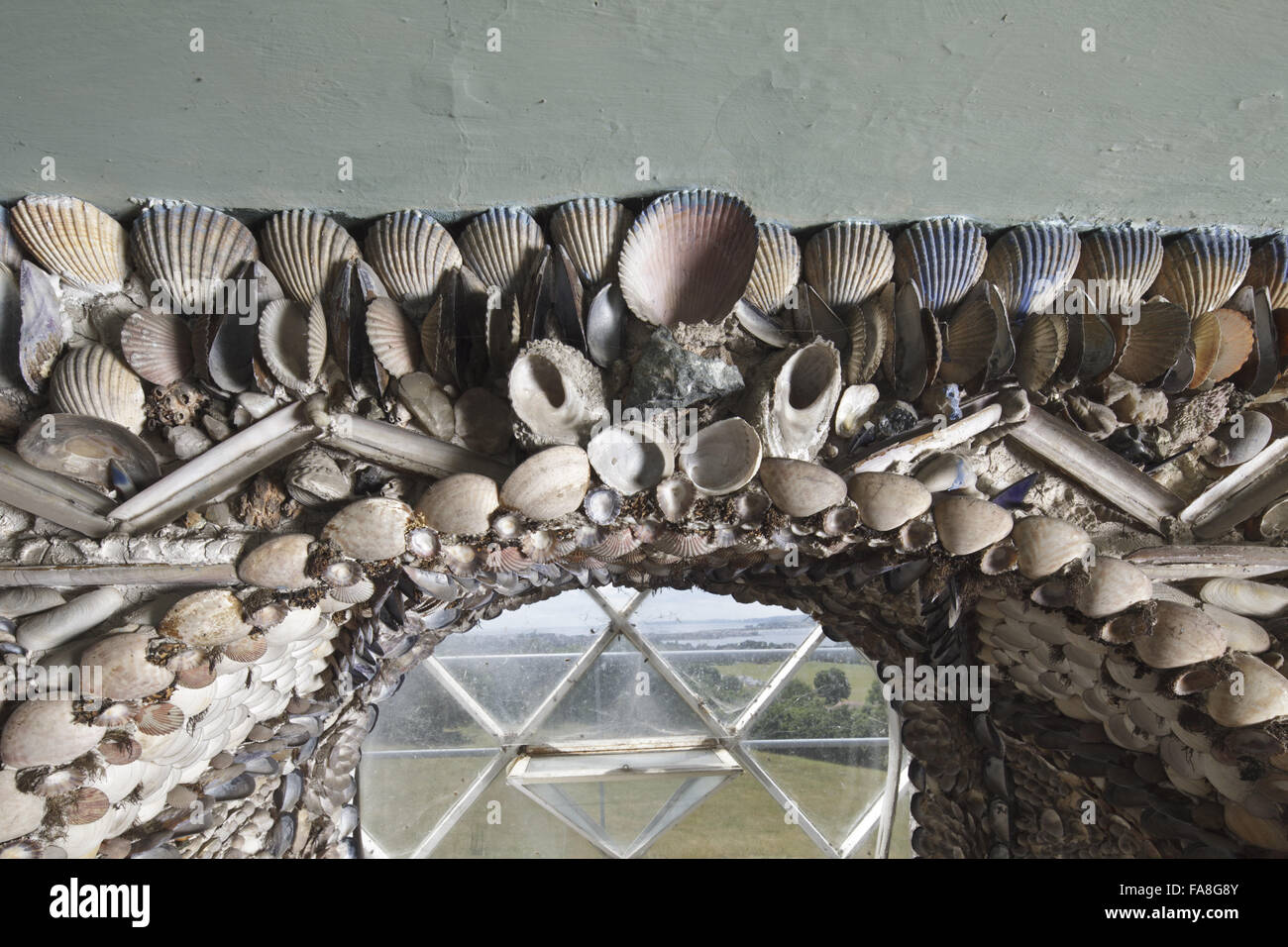 Three shell hi-res stock photography and images - Alamy