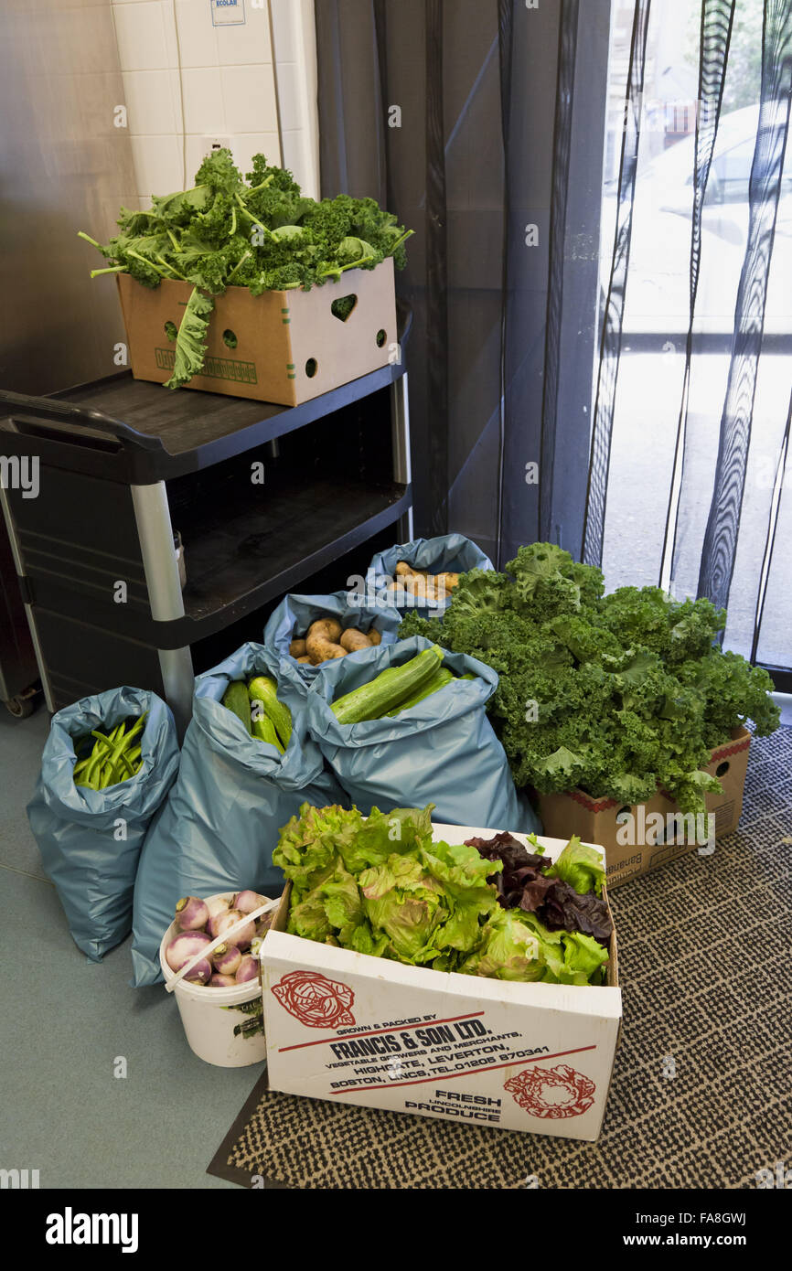 Produce boxed up for delivery to Polesden Lacey, from the community kitchen garden at Hatchlands Park, Surrey. Stock Photo