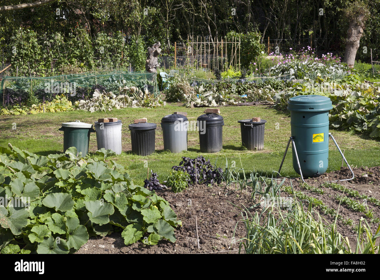 Composting bins in the community kitchen garden at Hatchlands Park