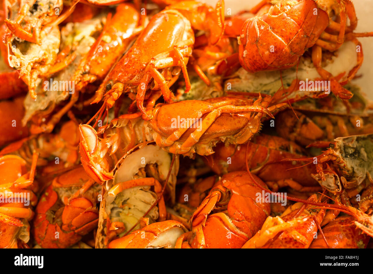 cooked lobster, seafood meal Stock Photo