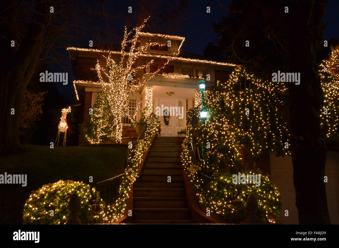 dyker heights brooklyn christmas lights 2015 december houses trees