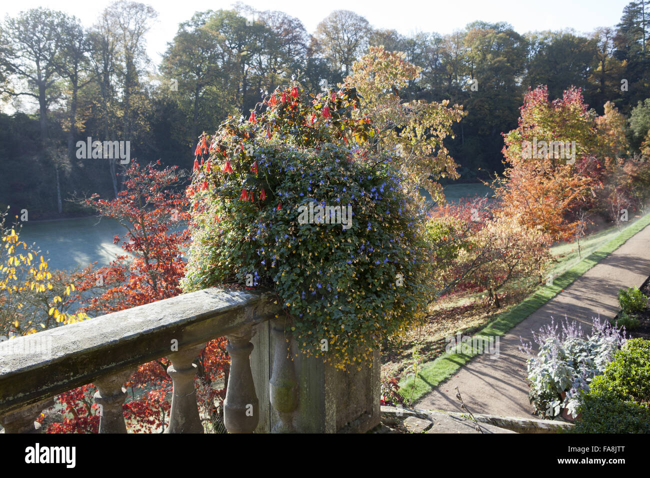 Autumn in the garden at Powis Castle, Welshpool, Powys Stock Photo Alamy