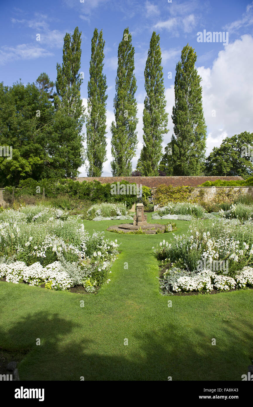 The White Garden in August at Barrington Court, Somerset. Stock Photo