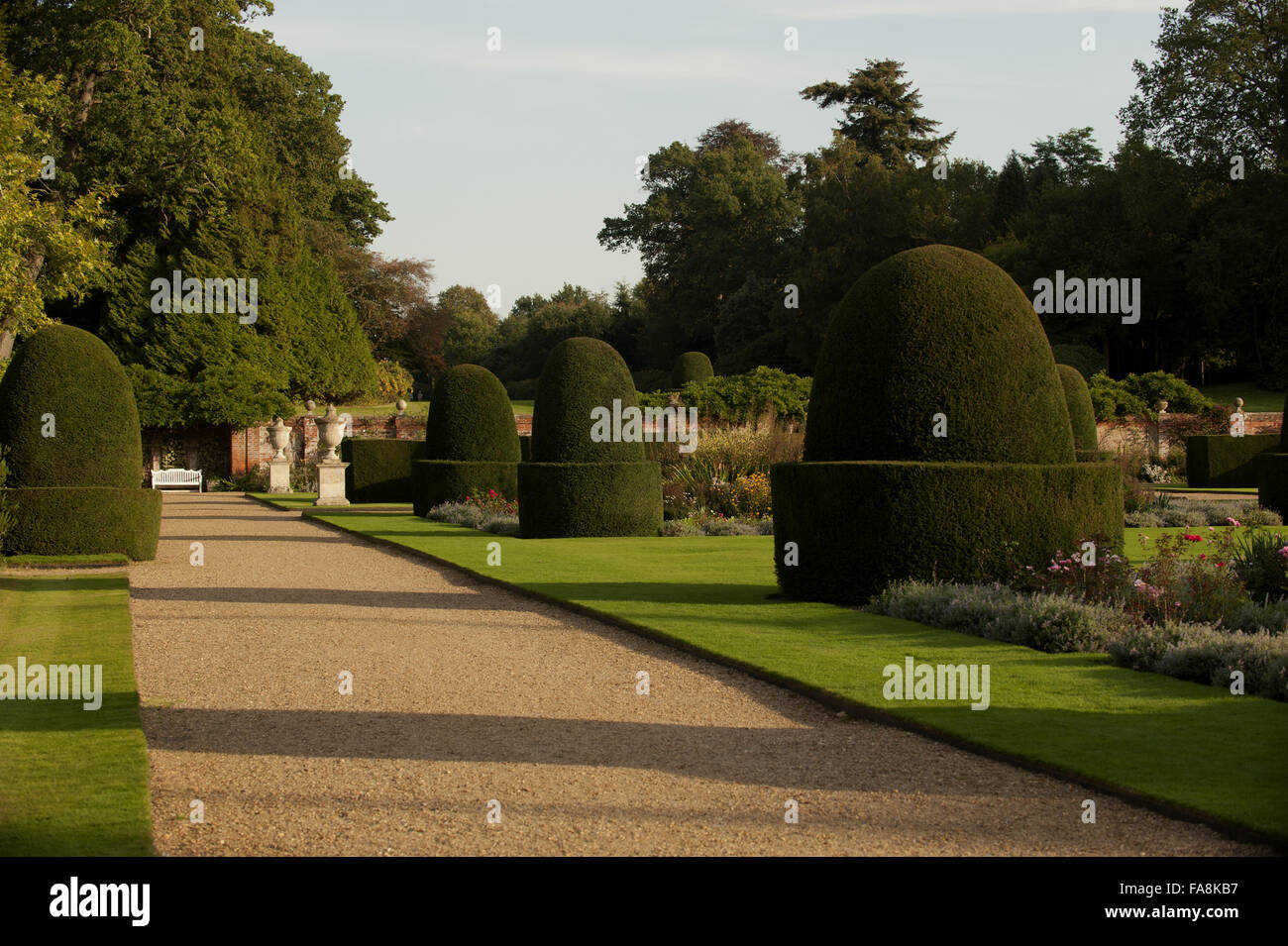 Topiary in the Parterre in the garden on the Blickling Estate, Norfolk. Stock Photo