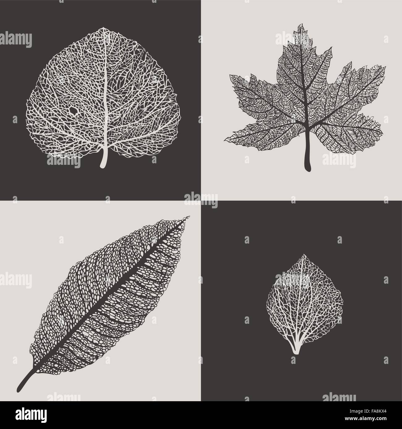 Illustration autumn leaves hi-res stock photography and images - Alamy