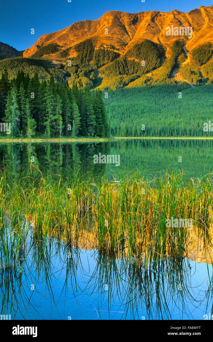 Buck Lake in Jasper National Park, Canada Stock Photo Alamy