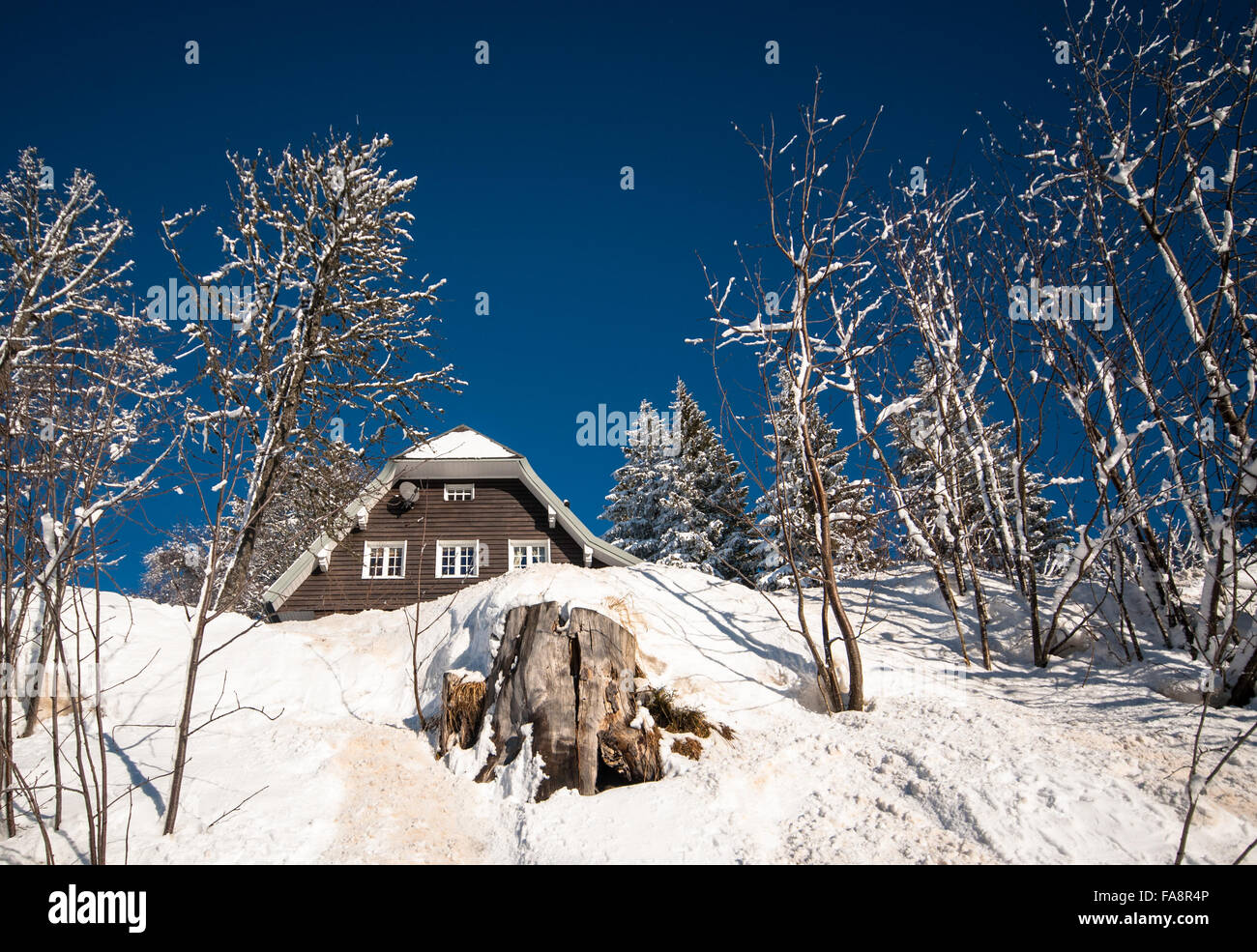 cabin and trees in snow covered winter landscape Stock Photo - Alamy